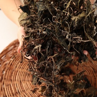 햇건나물 강원도 건고사리 건취나물 건곤드레 건산뽕잎 건다래순 건모듬 나물, 1개, 건고사리 100g