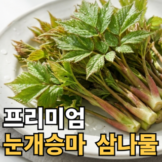 [산지당일수확] 눈개승마 나물 세가지맛 삼나물, 1박스, 500g