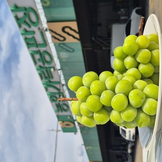 [가락시장 직송] 샤인머스켓 경매 선별 특상 상등급 샤인머스캣 고당도, 1박스, 2kg