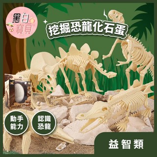 黑白寶貝 恐龍化石蛋DIY挖掘玩具，益智考古遊戲，STEAM科學教育，隨機恐龍, 1個, 夜光恐龍蛋