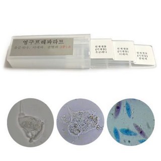 현미경관찰 프레파라트 3종미생물 과학키트 유아 diy 학원 상자 원리