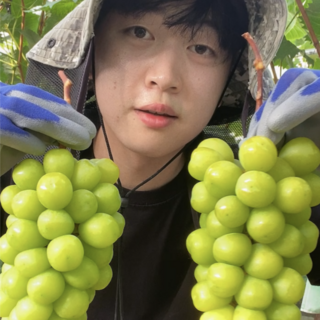 [17~19 Brix 당도보장] 김천뭉치네 샤인머스켓 GAP 우수재배인증, 1박스, 고당도 4kg 특등급