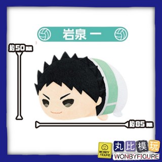 SK JAPAN 排球少年 趴娃 vol.4 日向 影山 月島螢 及川 黑尾 研磨 拆盒確認款, 1個, 8.岩泉一