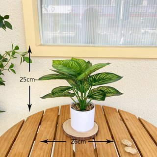 仿真盆景 北歐假花 辦公桌小盆栽 龜背盆栽 客廳裝飾仿真綠植 家居擺件, 西瓜葉+小石子花盆, 1個