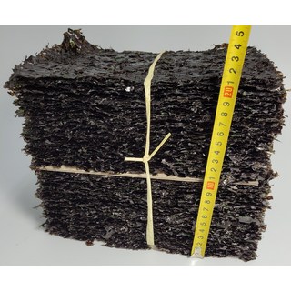 완도 곱창김 100장 명품 곱창돌김 지주식 김 대천 신안 해남 진도 장흥 선물세트, 특 곱창김 50매, 1개