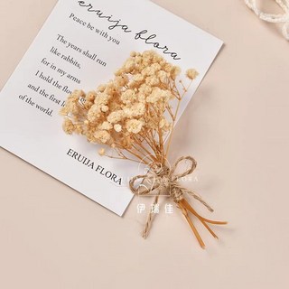 幹花墻面裝飾牆上掛件，高級感真花鬆果樹枝植物標本，背景牆墻飾貼墻, F-31