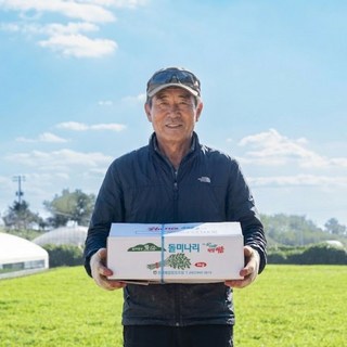 국산 자연산 돌미나리 농장직송, 2kg, 1박스