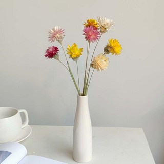 幹花小雛菊 七彩菊花束擺件 真花客廳房間裝飾 拍照道具 家居擺設, 1個, 小雛菊花束（8枝）（帶小白瓷瓶）