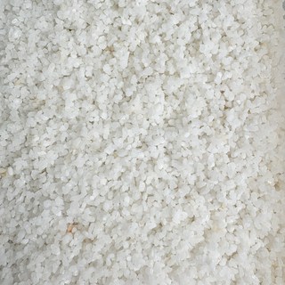 白細砂 4kg/裝 石英砂 石頭 石 生態造景 沙坑 貝殼砂 白沙 海灘沙 水族底砂 矽沙 砂坑 遊戲砂, 白色