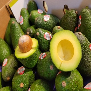아보카도 아보카도생과 후숙아보카도 건강과일 수입과일, 1박스, 후숙 아보카도 대과10과(개당 210g내외)