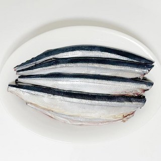 싱글즈키친 냉동 손질 꽁치500g내외(4~7미), 단품, 단품