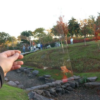 【台灣發貨】彩色PVC塑膠片 彩色玻璃紙 彩色玻璃紙 透明玻璃紙 透光素材 光影pvc膜 透明塑膠片 手工diy透光膠片, 透明5張, 1個