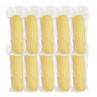 은은하게 달콤한 맛 엉클디어 삶은 찰옥수수 실온보관 하양찰옥수수 백찰옥수수 250g, 10개, 250