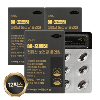 [웰스앤헬스] 비제닉스 88-포르테 전립선 눈건강 올인원 쏘팔메토 옥타코사놀 루테인 전립선 남성영양제, 12박스, 30정