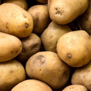 갓 수확한 포슬포슬 햇감자 수미감자, 1개, 3kg 대