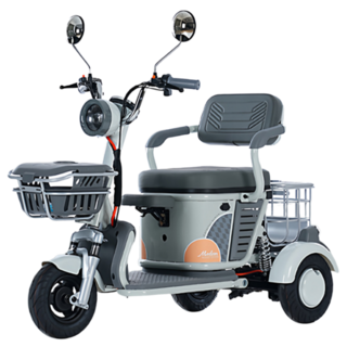 트리보 삼륜 전기자전거 세발 전동 스쿠터, 웜그레이, 경량스틸