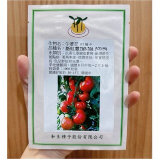 新紅慧牛番茄種子1000粒 原包裝 專業農用品種 和生牛番茄種子 大番茄種子, 1個, 分包裝250粒