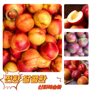 [굿피플] 꿀당도 신비복숭아 복숭아 제철신비복숭아, 1개, 신비복숭아 3kg 대과