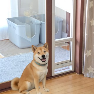 대형 프리미엄 높이조절 베란다 펫도어 고양이 강아지 중형견 출입문 안전문 방묘문 캣도어 개문 견문, 1개, 투명창