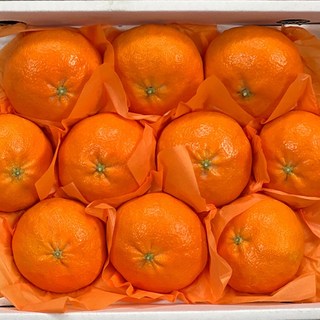 [재구매1위] 산지직송 당일수확 제주 레드향, 1개, 2kg