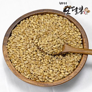 힘찬농부오달봉 국산 통밀, 500g, 1개