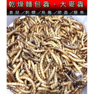 乾燥大麥蟲麵包蟲蠅蛆黑水虻南極蝦鉤蝦 刺蝟蜜袋鼯倉鼠守宮烏龜澤龜水龜角蛙適用, 1個, 黑水虻乾100克