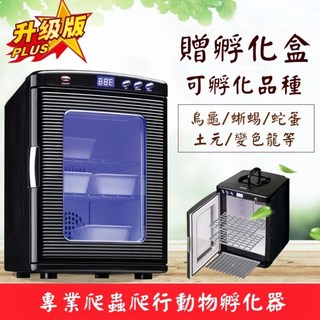 孵化盒 110V爬蟲孵蛋箱 守宮孵蛋機 高冠變色龍 烏龜蛋 蛇蛋 土元 蜥蜴 守宮 歐陸 兩棲陸龜, 每單贈送3個孵化盒,專業爬蟲孵蛋機（保固3年）, 1個