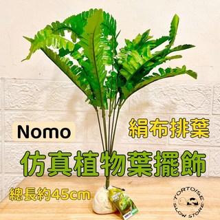 NOMO《慢慢爬》仿真劍蘭葉擺飾 白邊綠葉 絹布排葉 爬蟲造景 假葉 守宮 蜥蜴 青蛙 烏龜