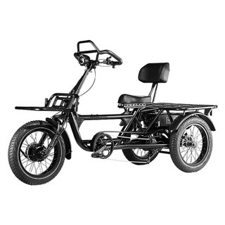 태양열 전기 세발자전거 성인용 장거리 삼륜 자전거, 1개, 블랙(듀얼배티리)