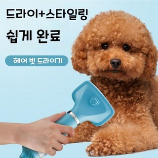 반려동물 에어 브러쉬 헤어 빗 드라이기 온도조절 3단계 빗 드라이어, 블루