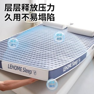 LEHOME乳膠海綿床墊 柔軟Q彈學生宿舍單人床墊 可折疊裸睡10公分, LEHOME旗艦品質：曲紋灰【厚約6CM,90x190cm宿舍床