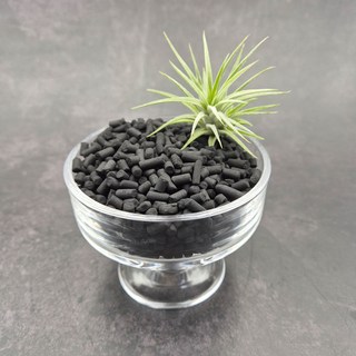 압축 활성탄 3종 조립활성탄 수족관 테라리움 불순물제거 수질정화 공기정화 냄새탈취, 50g, 1개