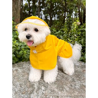 편한리빙 강아지 우비 레인코트 비옷, 레몬 옐로우, 1개