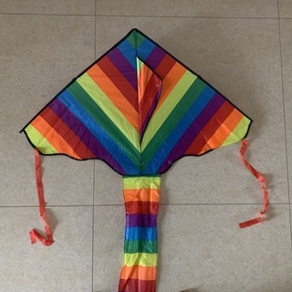 大彩虹風箏 台灣製造 超優品質 戶外風箏 易於操控 輕巧便攜, 1個
