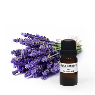라벤더 커머셜 에센셜 오일 50m, 라벤더 에센셜오일 - 50m, 1개