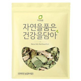 자연닮음 야생 건조 말린 황칠나무 차 잎 300g, 1개