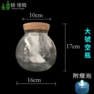 林作物 現貨/含發票 DIY生態瓶 空瓶 附透氣軟木塞 燈具 微景觀造景生態瓶 各尺寸 鬥魚缸 造景缸, 1個