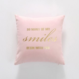 북유럽 큐티 블링블링 쿠션커버 시리즈 스팽글쿠션 벨벳쿠션 퍼쿠션 실버 스팽글, 핑크 브론징