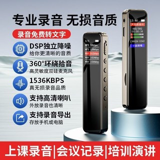 迷你高清錄音筆 MP3超長待機 學生上課錄音器 隱蔽錄音筆 mini錄音機 錄音轉文字 秘錄器, 頂配款【十級降噪+AI語音】256G