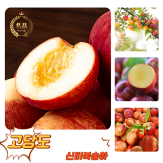 [굿피플] 꿀당도 신비복숭아 복숭아 제철신비복숭아, 1개, 신비복숭아 1kg 소과
