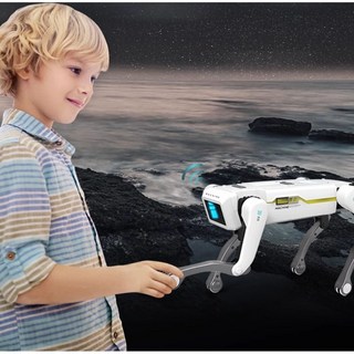AI 로봇 강아지 원격조종 반려로봇 어린이 작동완구 선물용 스마트 로봇 장난감 초등 남아 추천, 화이트(로봇팔)