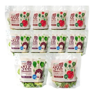 데이밀 자연을담은 샐러드 혼합구성 실속B+실속C 국내산 야채믹스 과채믹스, 10개, 100g