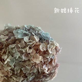 Be a florist花藝夢 進口漸層色安娜繡球花 整枝販售 永生花 乾燥花 木繡球花 不凋花, 新娘捧花