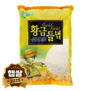 현대농산 국산 황금들녁 백미 쌀 4kg, 1개, 상등급