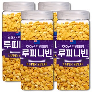 통에담은 최상급 루피니빈 콩 호주산 루핀콩, 4개, 1kg