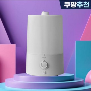 2. 힙스일렉 가정용..