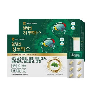 대웅생명과학 혈행엔 징코맥스, 120정, 2개