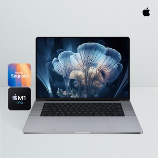 APPLE 애플 2021 B급 맥북프로16 M1 Pro