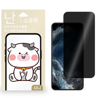 갤럭시 핸드폰 사생활보호 필름, 2개