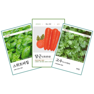 바질 당근 고수 씨앗 3종 세트, 3개